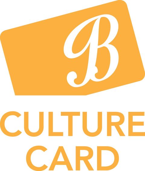 Culture Card launched at Reuben Colley Fine Art