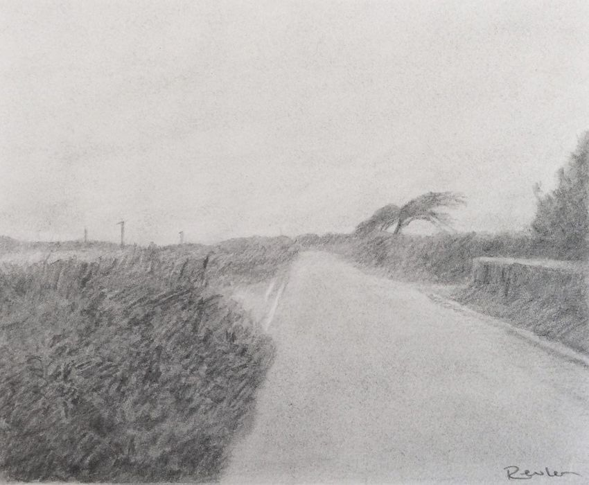 Penwith Trees (SOLD)